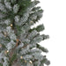 33532714 Holiday/Christmas/Christmas Trees