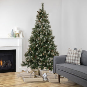 34908495 Holiday/Christmas/Christmas Trees