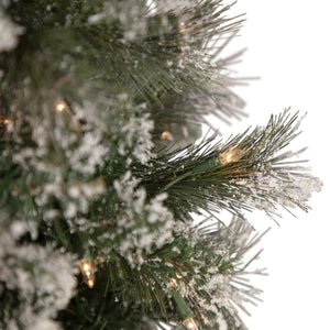34908495 Holiday/Christmas/Christmas Trees