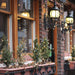 32602374 Holiday/Christmas/Christmas Lights