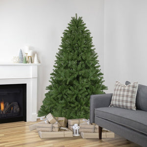 34908558 Holiday/Christmas/Christmas Trees