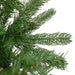 34908558 Holiday/Christmas/Christmas Trees