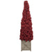 35250612 Holiday/Christmas/Christmas Trees