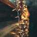 32602375 Holiday/Christmas/Christmas Lights