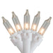 32602375 Holiday/Christmas/Christmas Lights