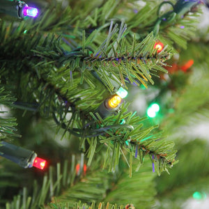 31752852 Holiday/Christmas/Christmas Trees