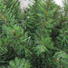 32913183 Holiday/Christmas/Christmas Wreaths & Garlands & Swags