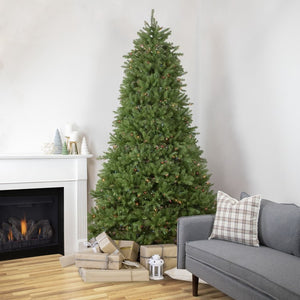 34908529 Holiday/Christmas/Christmas Trees