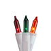 14057371 Holiday/Christmas/Christmas Lights