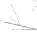 TR3264WW Holiday/Christmas/Christmas Trees