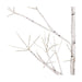TR3247WW Holiday/Christmas/Christmas Trees
