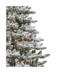 TR71900FPLC Holiday/Christmas/Christmas Trees