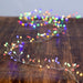 AD1011M Holiday/Christmas/Christmas Lights