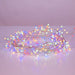 AD1011M Holiday/Christmas/Christmas Lights