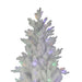 TR62900LEDM Holiday/Christmas/Christmas Trees