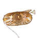 UL0914 Holiday/Christmas/Christmas Ornaments and Tree Toppers