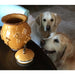 PDJC3005 Decor/Pet Accessories/Pet Bowls & Food Containers