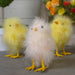 32726533 Holiday/Easter/Easter Tableware and Decor