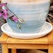 AP-012 Outdoor/Lawn & Garden/Planters
