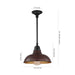 JYL7611G Lighting/Outdoor Lighting/Outdoor Pendants