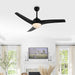 JYL9717A Lighting/Ceiling Lights/Ceiling Fans