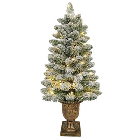 3' Pre-Lit Flocked Pine Tree in Urn with 50 Warm White LED Lights
