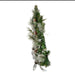 TR0210LED Holiday/Christmas/Christmas Trees