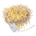 AD1050WW Holiday/Christmas/Christmas Lights