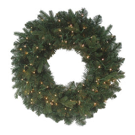 24" Battery-Operated Noble Fir Wreath with Warm White Lights with LED Lights