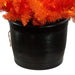 HW1898 Holiday/Halloween/Halloween Outdoor Decor