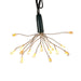 AD1039CLW Holiday/Christmas/Christmas Lights