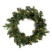 WRT72180LEDBWW Holiday/Christmas/Christmas Wreaths & Garlands & Swags