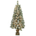 TR3272PLC Holiday/Christmas/Christmas Trees