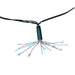 AD1039RGB Holiday/Christmas/Christmas Lights