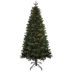 6' Pre-Lit Studio Spruce Christmas Tree with 250 Clear Incandescent Lights