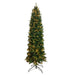 TR73600LEDWW Holiday/Christmas/Christmas Trees