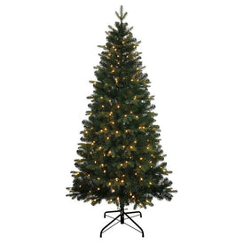 6' Pre-Lit Studio Spruce Christmas Tree with 250 Warm White LED Lights