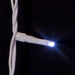 AD1037CW Holiday/Christmas/Christmas Lights