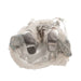 J6112 Holiday/Christmas/Christmas Indoor Decor