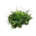 TR0209LED Holiday/Christmas/Christmas Trees