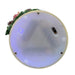 JEL2009 Holiday/Christmas/Christmas Indoor Decor