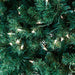 TR1426 Holiday/Christmas/Christmas Trees