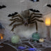 34289223 Holiday/Halloween/Halloween Indoor Decor