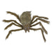 34289223 Holiday/Halloween/Halloween Indoor Decor