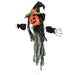 35131186 Holiday/Halloween/Halloween Indoor Decor