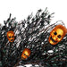 35166992 Holiday/Halloween/Halloween Indoor Decor