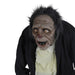 34289231 Holiday/Halloween/Halloween Indoor Decor