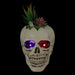 35131191 Holiday/Halloween/Halloween Indoor Decor