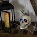 35131191 Holiday/Halloween/Halloween Indoor Decor