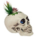 35131191 Holiday/Halloween/Halloween Indoor Decor